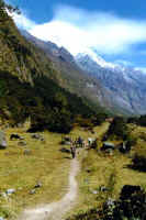 n07-langtang.JPG (27389 bytes)