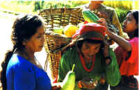 n1-moeder mithu.jpg (44374 bytes)