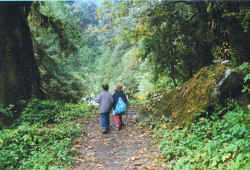 n20_kabouters_op_stap.JPG (40908 bytes)