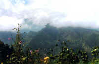 n3-dunche.jpg (23991 bytes)