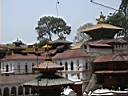 Dsc00129.JPG: Pashupatinath